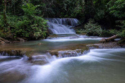 Scenic view of waterfall in forest