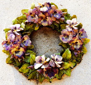 Close-up of flowers