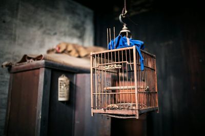 Low angle view of birdcage hanging at home