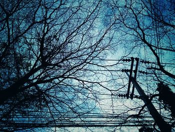 Low angle view of bare tree against sky