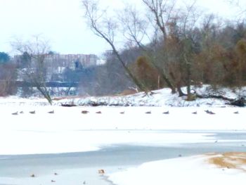 Scenic view of frozen lake against sky