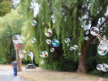 Close-up of bubbles against blurred background