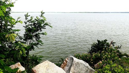 Scenic view of sea against clear sky