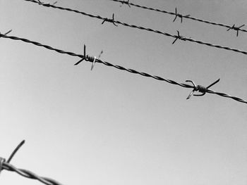 Low angle view of barbed wire