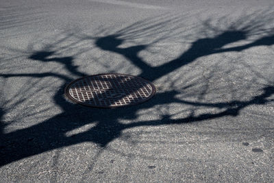 Close-up of shadow on sand