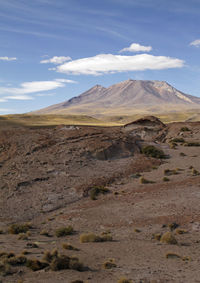 Scenic view of desert against sky