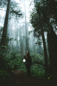 Woman standing by tree in forest