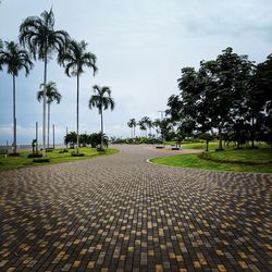 Footpath by palm trees against sky