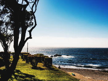 Scenic view of sea against clear sky