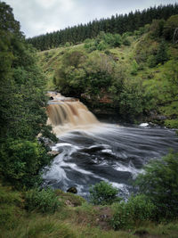 Scenic view of waterfall in forest