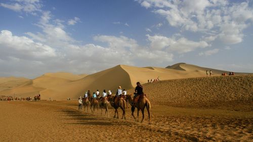 Group of people riding horses in desert