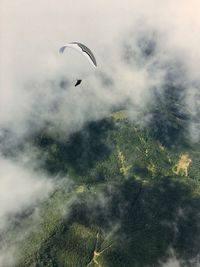 Person paragliding against sky