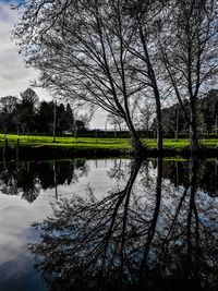 Reflection of trees in lake against sky