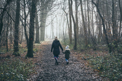 Rear view of people walking on street amidst trees in forest