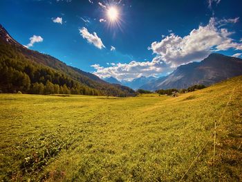 Scenic view of field against bright sun