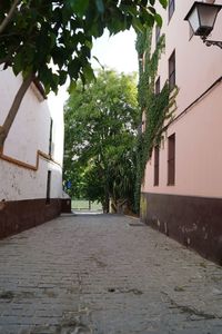 Narrow street leading to house