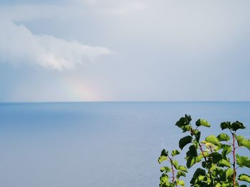 Blu idillic scenic view of sea against sky 