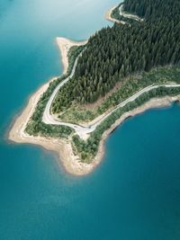 Aerial view of sea by forest