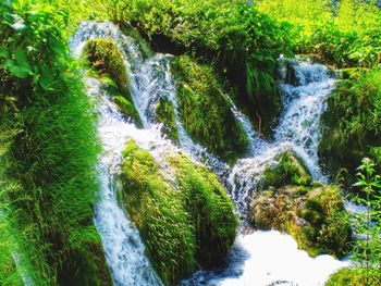 Scenic view of waterfall