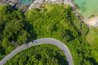 High angle view of road amidst trees in forest