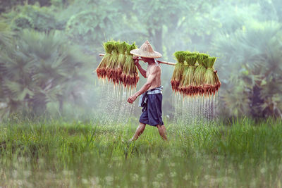 Rear view of woman with umbrella walking on field