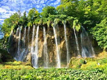 Scenic view of waterfall in forest