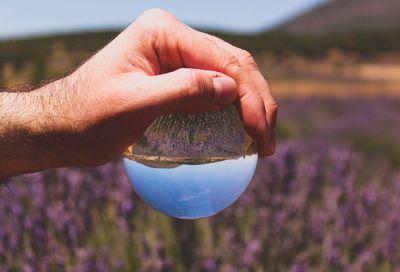 Close-up of man hand holding crystal ball at farm