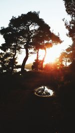 Silhouette trees in forest against sky during sunset