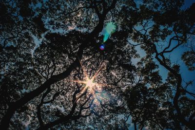 Low angle view of tree against sky