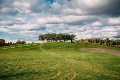 Trees on landscape against cloudy sky