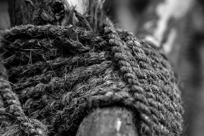 Close-up of rope tied up