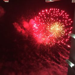 Firework display in sky at night