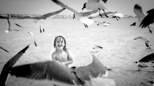 Portrait of cute boy with seagulls