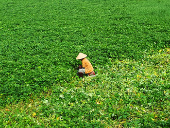 High angle view of working on field