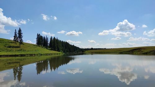 Trees by the lake on a sunny day against a blue sky with clouds