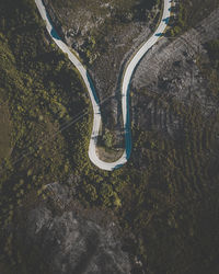 High angle view of road amidst trees on field