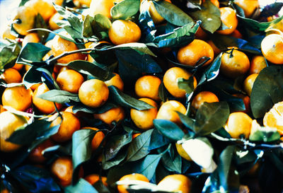 Full frame shot of fruits