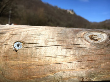 Close-up of weathered wood