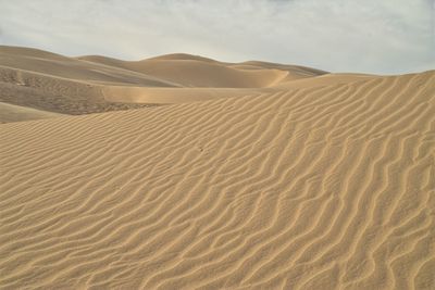 Scenic view of desert against sky