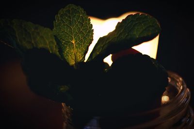 Close-up of silhouette man with heart shape at night