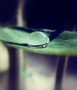 Macro shot of water drop on glass