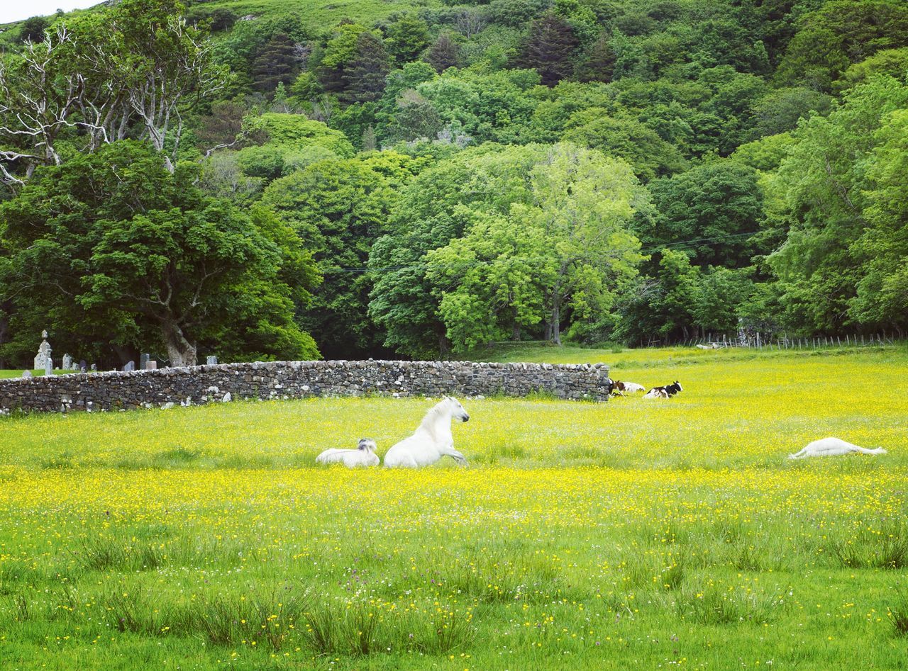 Innerhebrides