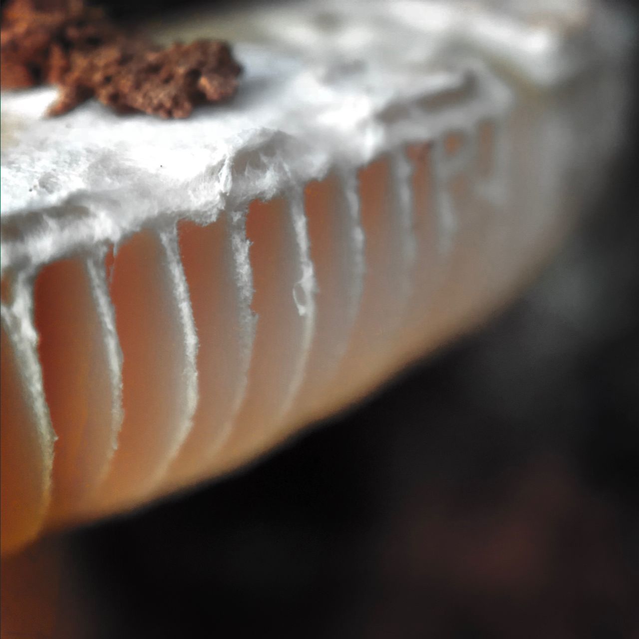 CLOSE-UP OF ICE CREAM ON WOOD