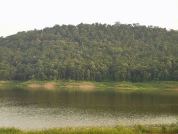 Scenic view of lake in forest against sky