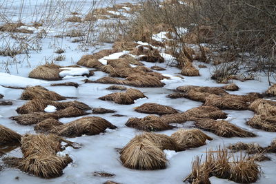 High angle view of snow covered field