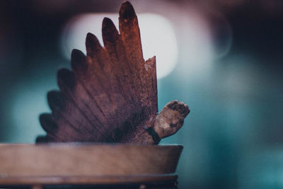 Close-up of metal container on table