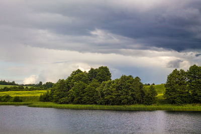 Scenic view of river by trees against sky