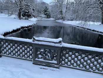 Snow covered plants by lake