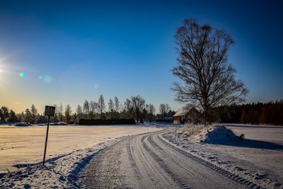 Bare trees on snow field against clear blue sky