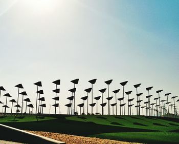 Low angle view of plants on field against clear sky